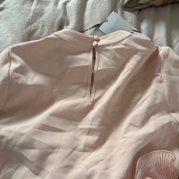 Zara Light Pink Mock Neck Blouse with Ruffle Cuffs - Picture 4 of 4